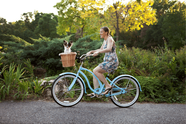 Passeios de Bicicleta com Cães em Trilhas: Como Aproveitar a Natureza e Garantir a Segurança