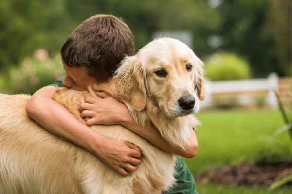 Cachorros Mais Inteligentes do Mundo para Quem Precisa de um Cão de Terapia para Deficientes Visuais