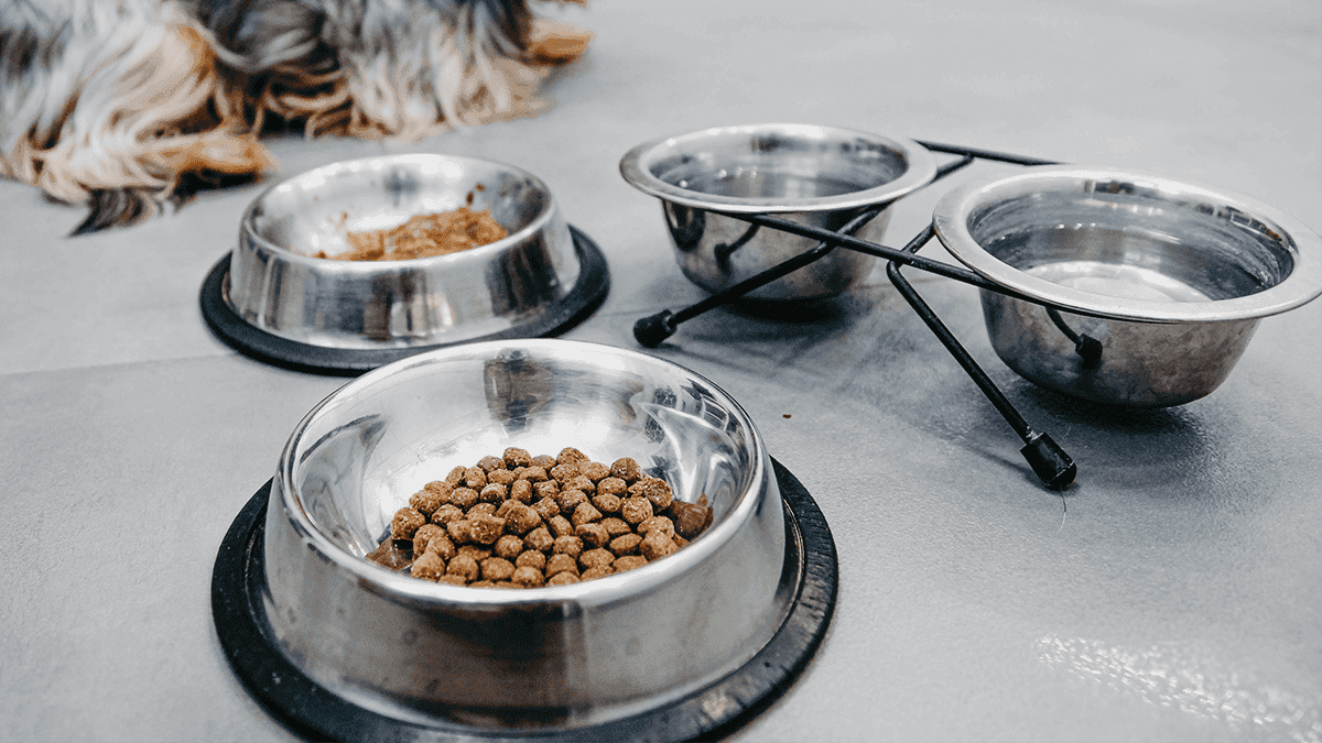 Bebedouros e Comedouros