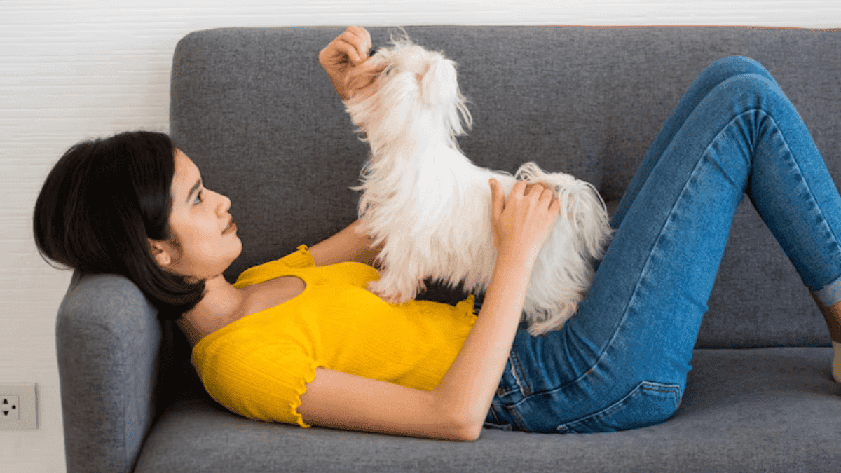 brincadeiras que estimulam o cérebro