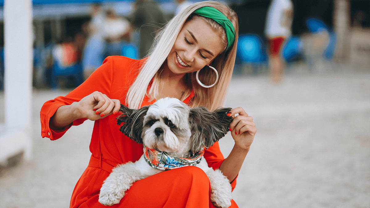 Celebridades que têm ou tiveram Shih Tzus