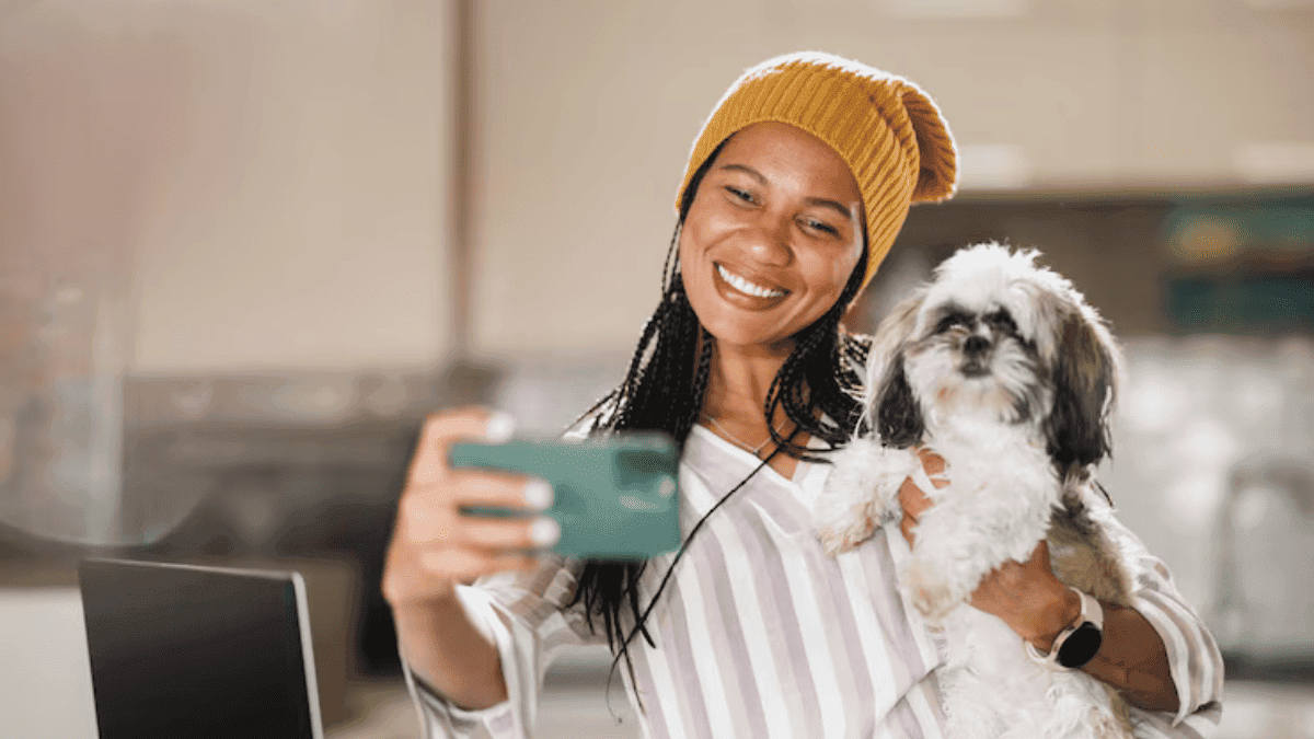 Como Montar o Instagram Perfeito do seu Shih Tzu: Adorei!