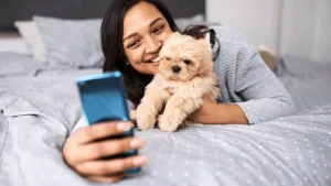 Fotos Incríveis do Seu Shih Tzu: Dicas de como Fazer!