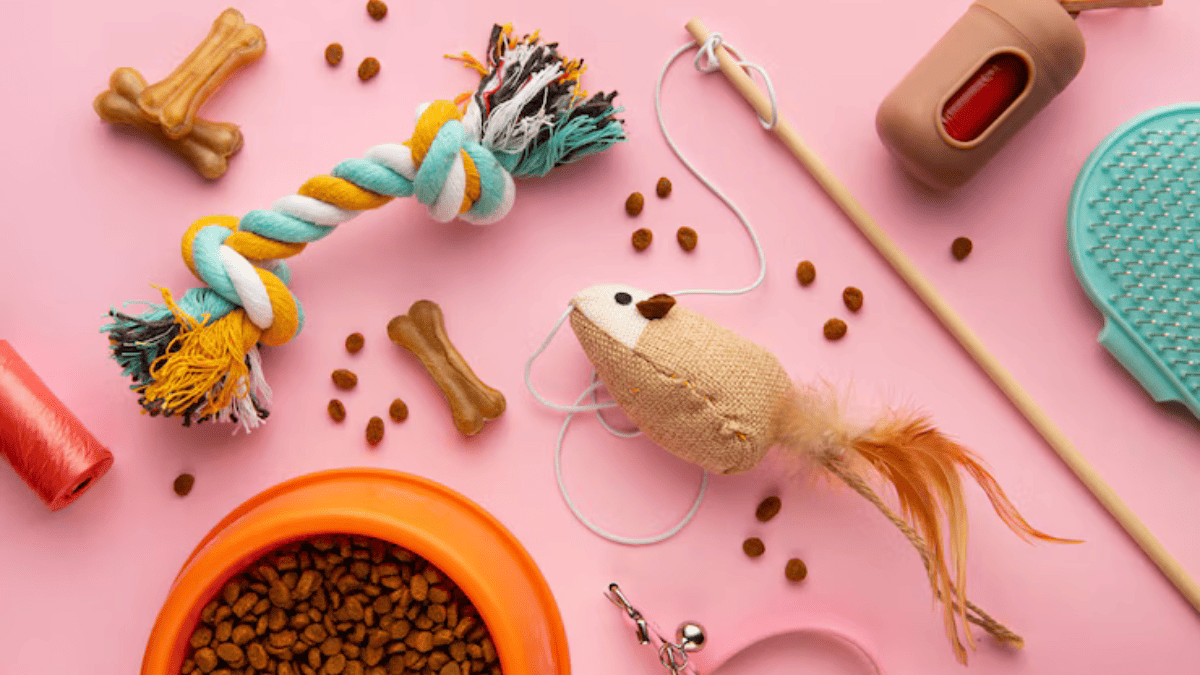 itens para adestramento de Shih Tzu