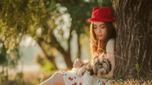 Shih Tzu Mimado: Veja como é o Dia a Dia!