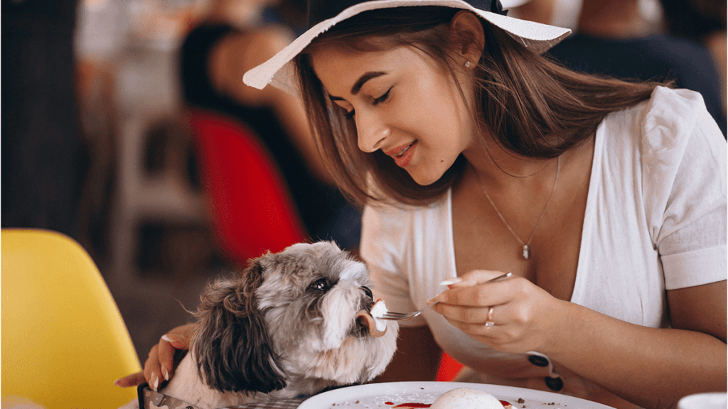 Shih Tzu pode comer de comida caseira